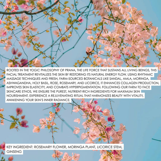 PULPVEDA PRANA COLLAGEN BOOSTING 90 DAYS TREATMENT KIT